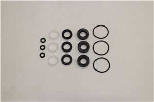 CA34262 Seal Kit 6Dx