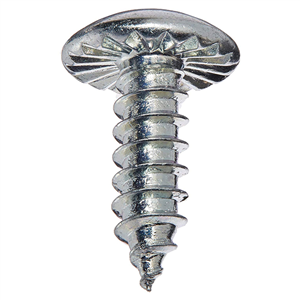 WP489355 Screw