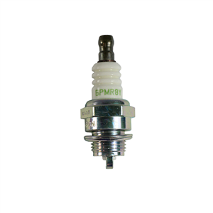 A425000000 Spark Plug