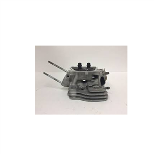 CYLINDER HEAD ASSY W/ 20001491