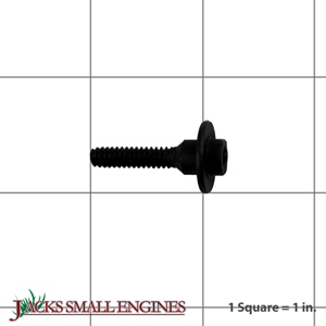 530016445 SCREW FUEL TANK RETAI