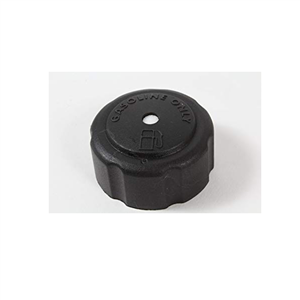 310816006 Gas Cap Assembly (No Longer Available)