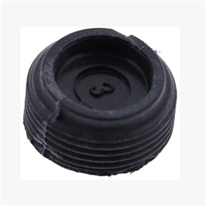 N024448 BRUSH CAP