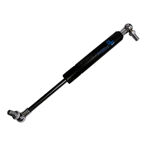 12119000 GAS STRUT, DOOR