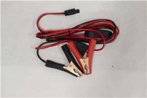 Wire Harness 12AWG W/ Switch 797599