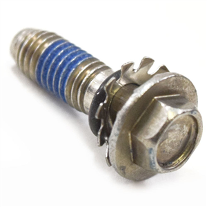 Customized Screw FAB30598601