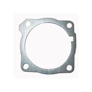 965517131 NLA GASKET DCS6800I