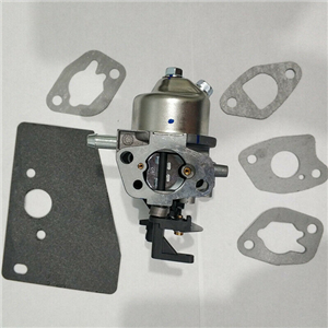 1485390S Kit Carb Huayi