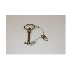 ASSY ROPS PIN/LANYARD 04063400