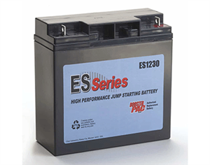 Clore Automotive ES1240 ES Series - Repl. Battery for ES6000/ES8000/ES1224 (2 Batteries) ES1240