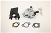 CARBURETOR KIT