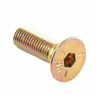 SCREW  5/16 24 X 1 C/