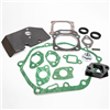 KIT ENGINE GASKETS RV160 AND RV170