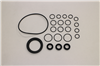 Oil Seal Kit Axd